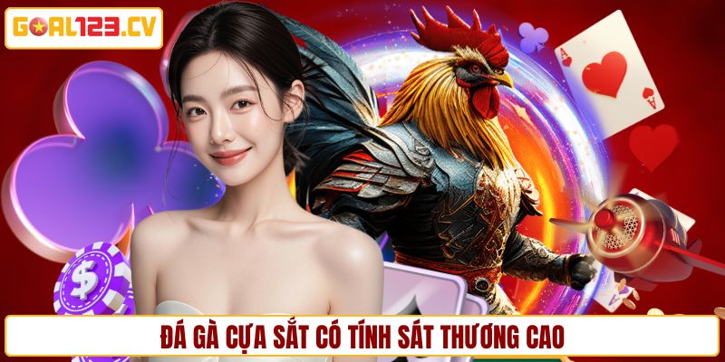 Đá gà cựa sắt - Loại hình thi đấu có tính sát thương cao